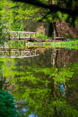 Wood bridge in the park