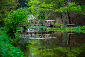 Fototapeta na wymiar Wood bridge in the park