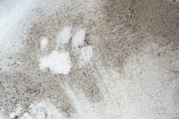 the real footprint of cat on the many dusty floor