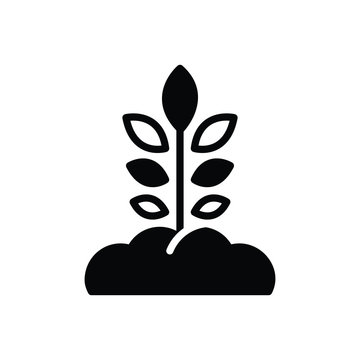 Black Solid Icon For Origination Grow