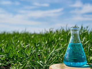 Image of a glass flask with a chemical solution on the background of young shoots of wheat.