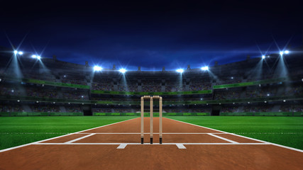 Night cricket field general view and stadium lights on