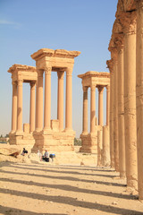 Obraz premium The ruins of the ancient city Palmyra, Syria