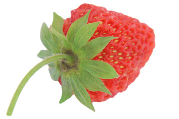 Red berry strawberry isolated on white background