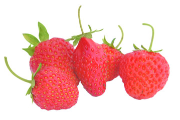 Red berry strawberry isolated on white background