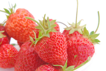 Fresh strawberries from the garden gathered in a bucket on a white background