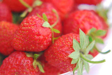 Fresh strawberries from the garden gathered in a bucket on a white background