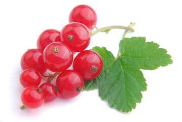 Fresh redcurrant with leaf on white background