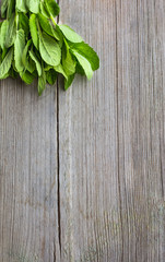bunch of fresh mint on wooden surface with copy space