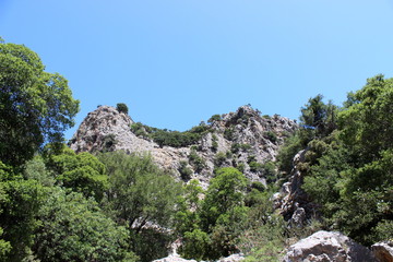 Fototapeta na wymiar Kreta, Kritsaschlucht