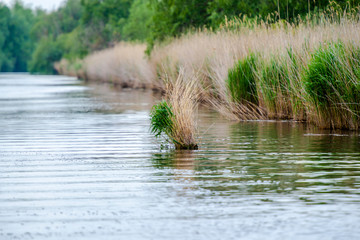 Amazing Danube Delta