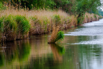 Obraz premium Amazing Danube Delta