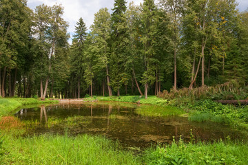 Forest man-made lake formed after the construction of the dam