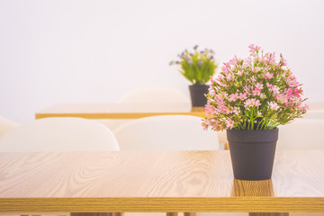 plant in a pot as decoration on table.