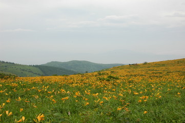 車山高原