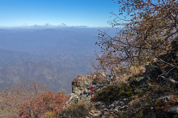 Sign post on the trek of La Campana National park in central Chile, South America