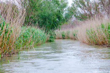 Danube Delta, Romania