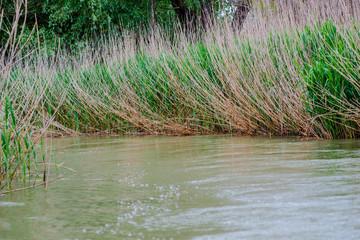 Danube Delta, Romania
