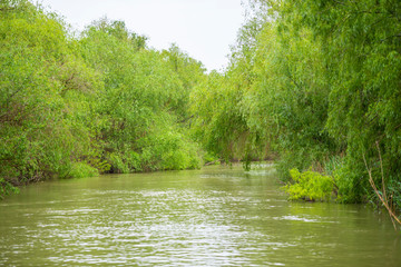 Danube Delta, Romania