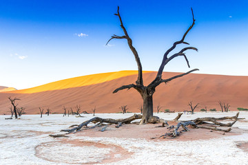 Deadvlei im Namib-Naukluft-Nationalpark, Namibia