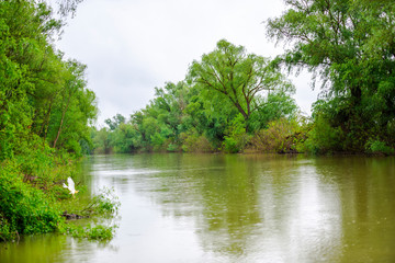 Danube Delta, Romania