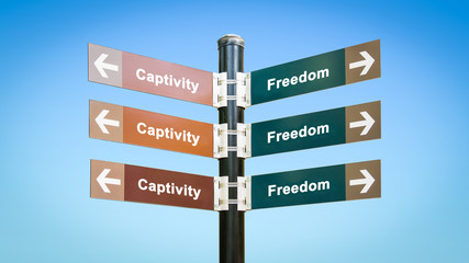 Street Sign to Freedom versus Captivity