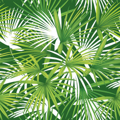 Tropical seamless pattern palm leaves background. Vector set of exotic tropical garden for holiday invitations, greeting card and fashion design.