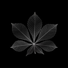 Leaf chestnut, isolated. Vector illustration. EPS 10