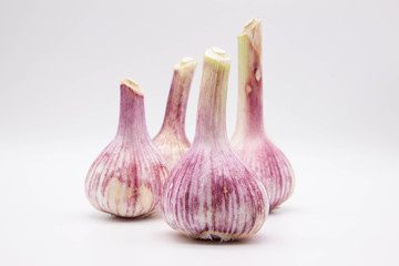 Photo heads of young garlic on a light background