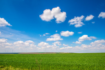 White clouds and blue sky