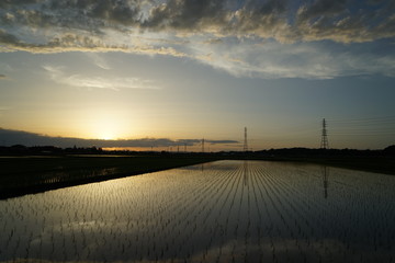 田園風景　夕景