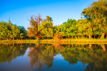 Amazing Danube Delta