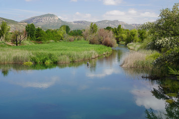 fly fisherman in the river
