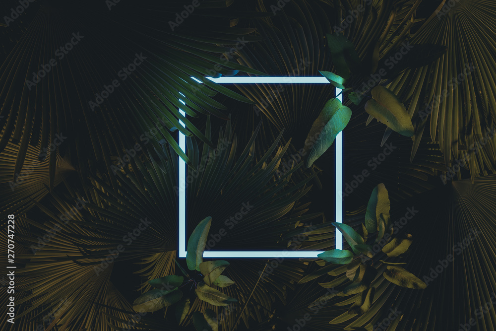 Poster 3d rendering of white square neon light with tropical leaves.. flat lay of minimal nature style conc