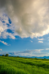 Obraz premium White clouds and blue sky