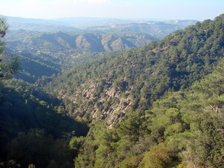 Panorama of a mountain forest on the top of a mountain range under the rays of a rising sun against the background of boundless blue mountain ranges on the horizon.