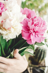 Hand holding beautiful pink and white peonies bouquet at rustic old wooden window. Floral decor and arrangement. Gathering flowers. Rural still life, countryside