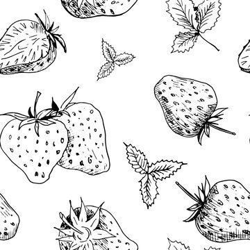 Strawberry Pattern. Isolated Hand Drawn Black Berries On White Background. Seamless Sketch Wallpaper.	