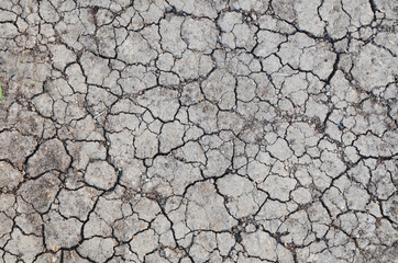 Dried cracked earth soil ground texture background. Mosaic pattern of sunny dried earth soil