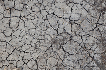 Dried cracked earth soil ground texture background. Mosaic pattern of sunny dried earth soil