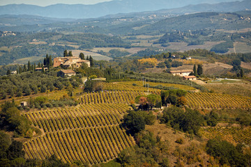 Tuscany landscape with hill, house and vineyard..