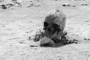 Human skull on the bank of a dried river monochrome