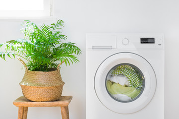 Washing machine with laundry, plant pot and sunlight from window