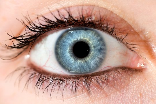 Deep Blue Eye.  Beautyful Close Up