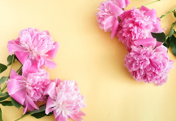 Bouquets of pink flowers peonies  frame on pale yellow background. top view. copy space