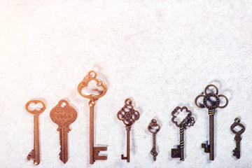 Decorative keys of different sizes and styles on grey background