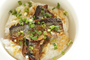 Japanese food, pacific saury and green onion on rice