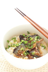 Japanese food, pacific saury and green onion on rice