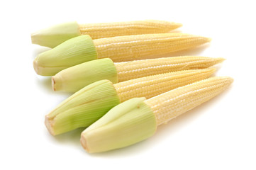 Baby corn on white background - isolated
