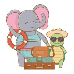 cute animals enjoying summer vacations